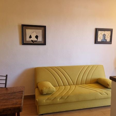 Agriturismo TERRANERA Scansano Esterno foto