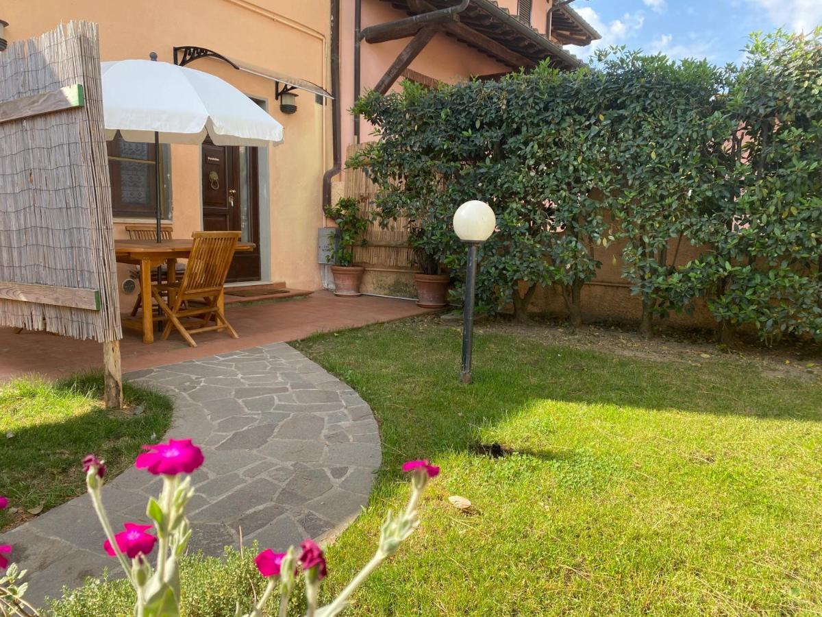 Agriturismo TERRANERA Scansano Esterno foto