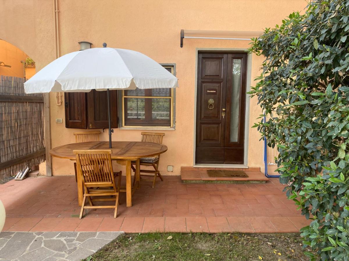Agriturismo TERRANERA Scansano Esterno foto