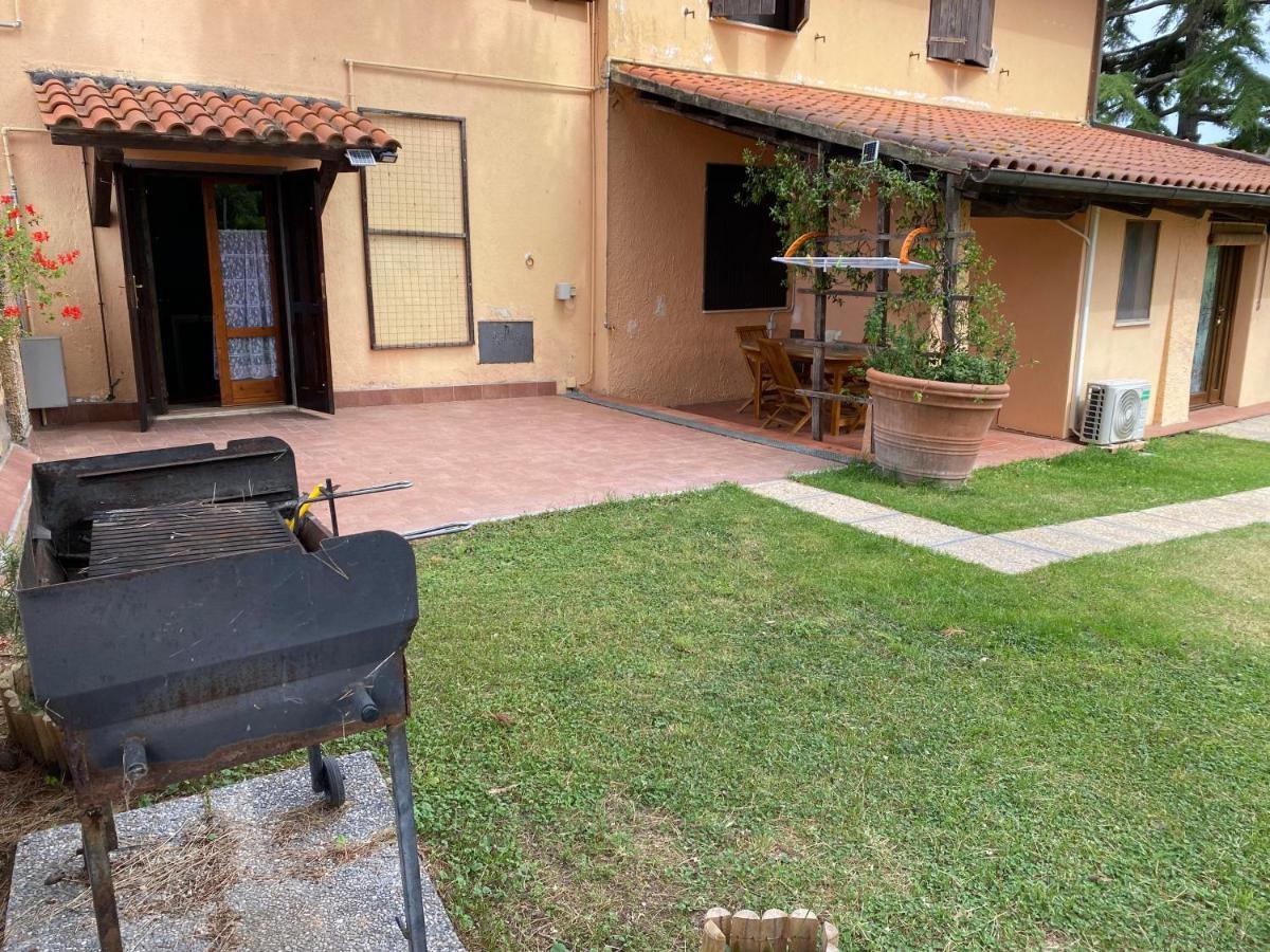 Agriturismo TERRANERA Scansano Esterno foto