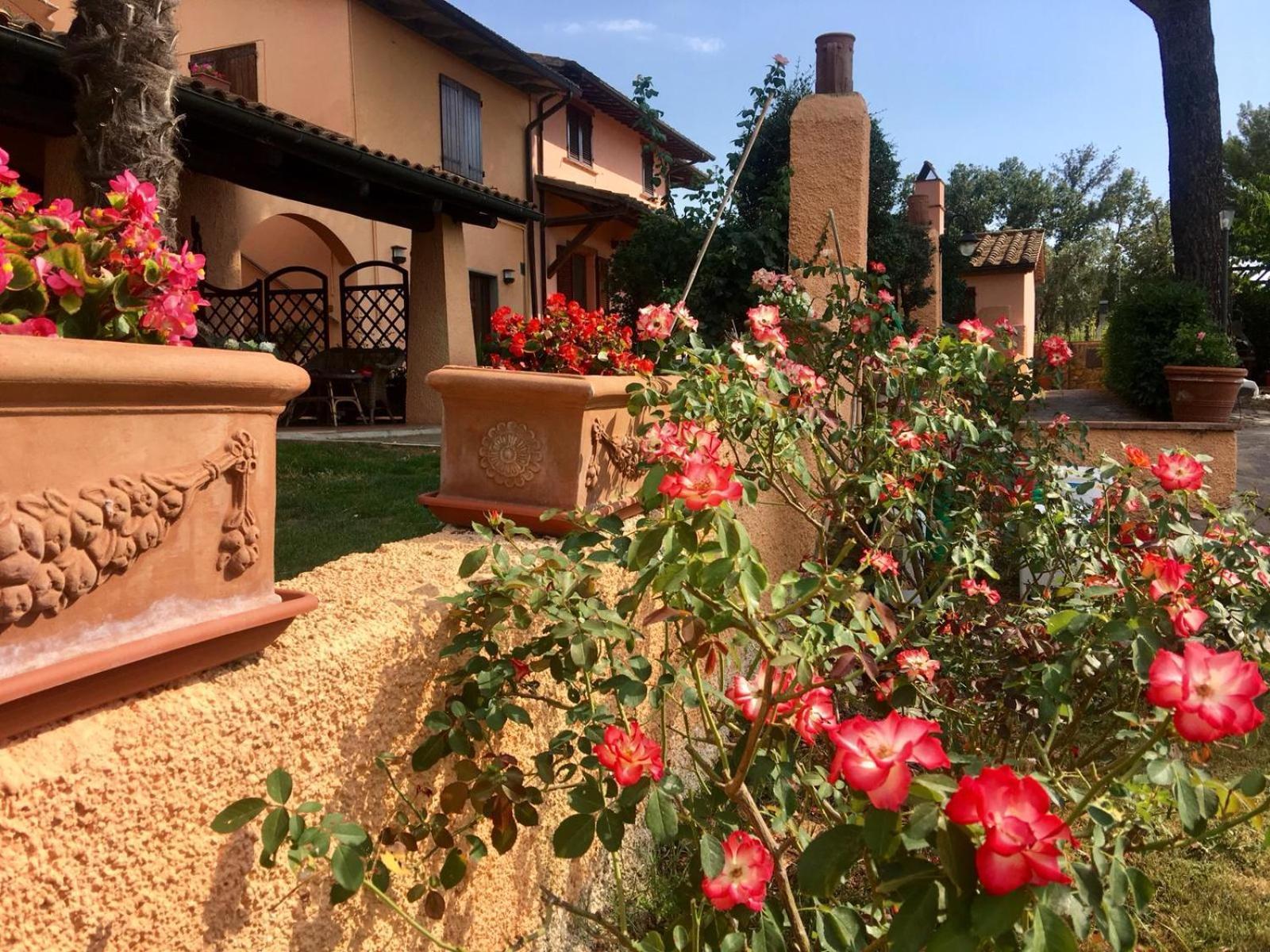 Agriturismo TERRANERA Scansano Esterno foto