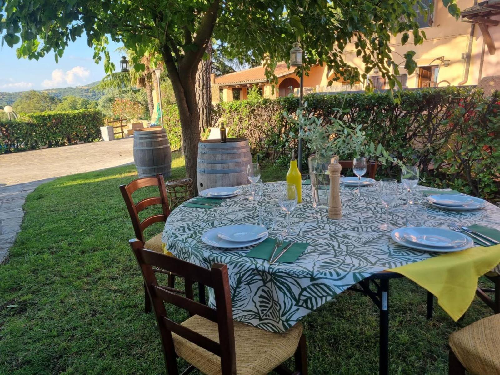 Agriturismo TERRANERA Scansano Esterno foto