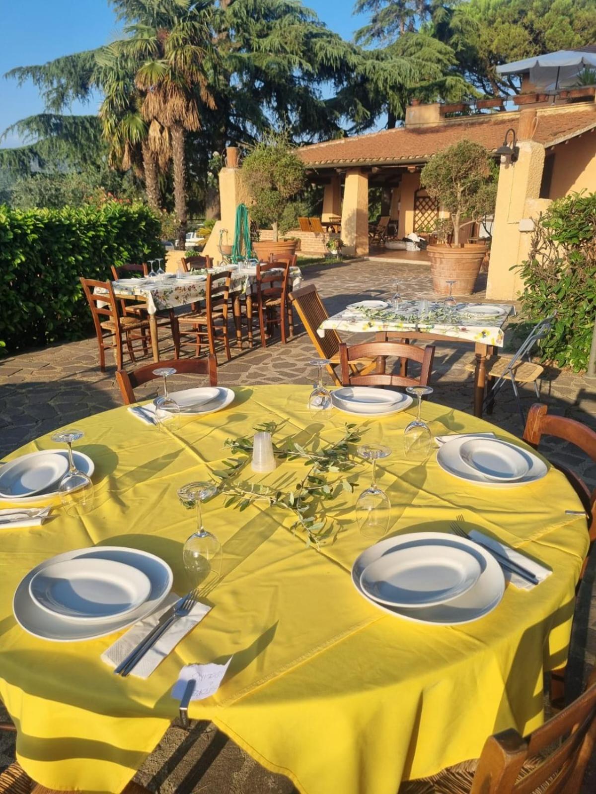 Agriturismo TERRANERA Scansano Esterno foto