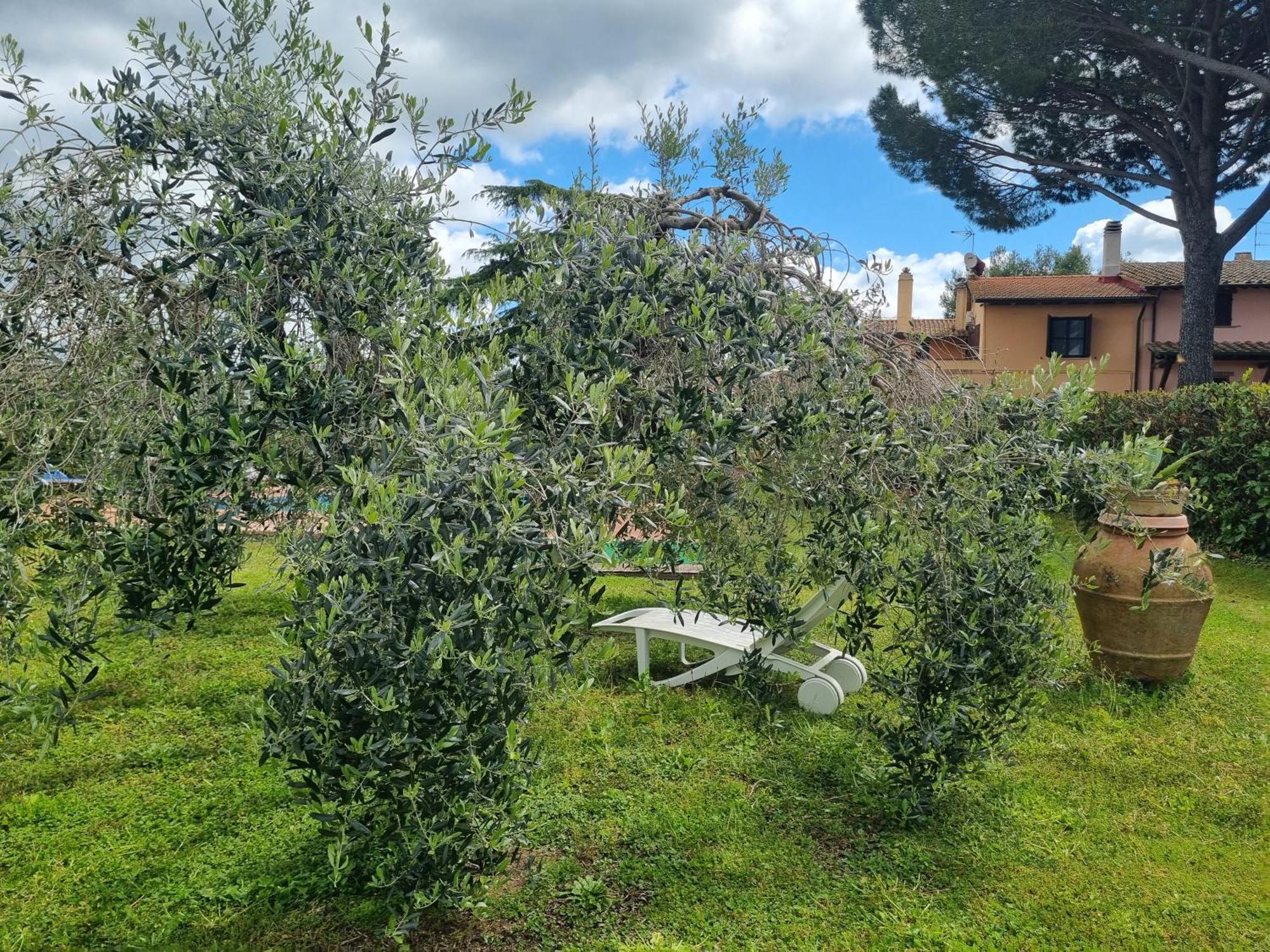 Agriturismo TERRANERA Scansano Esterno foto
