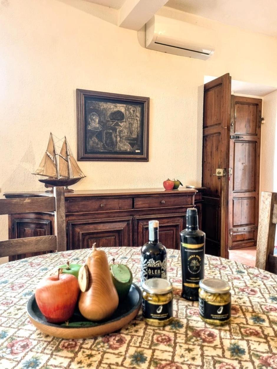 Agriturismo TERRANERA Scansano Esterno foto