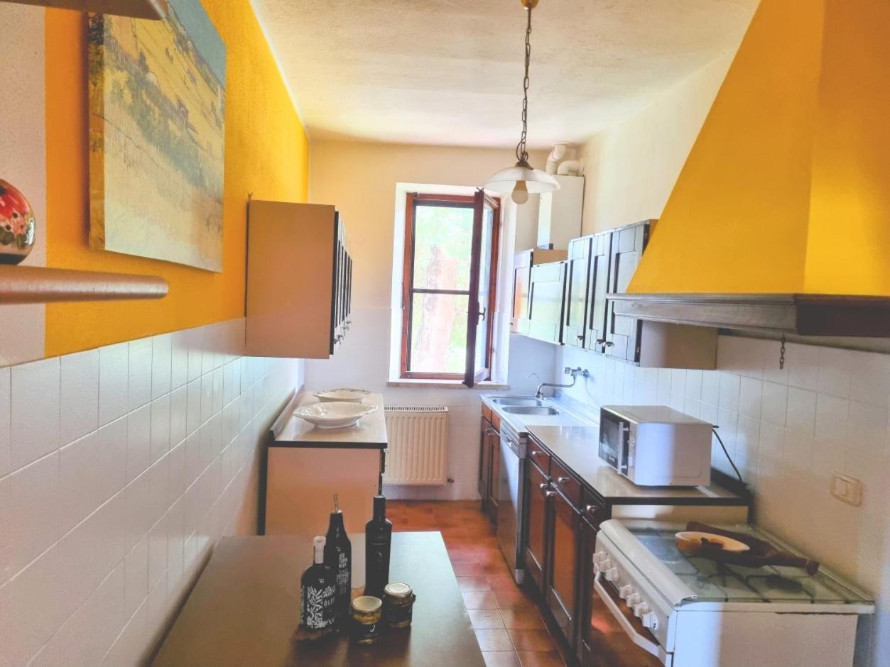 Agriturismo TERRANERA Scansano Esterno foto