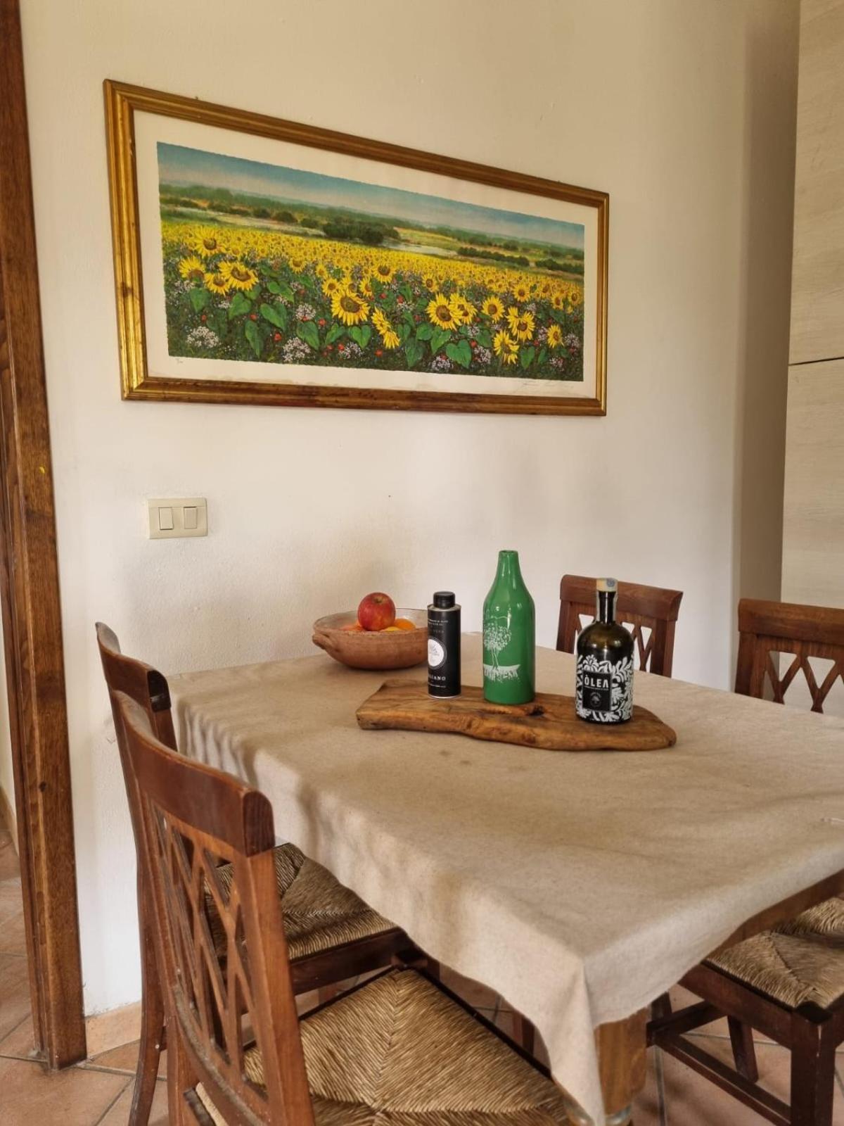 Agriturismo TERRANERA Scansano Esterno foto