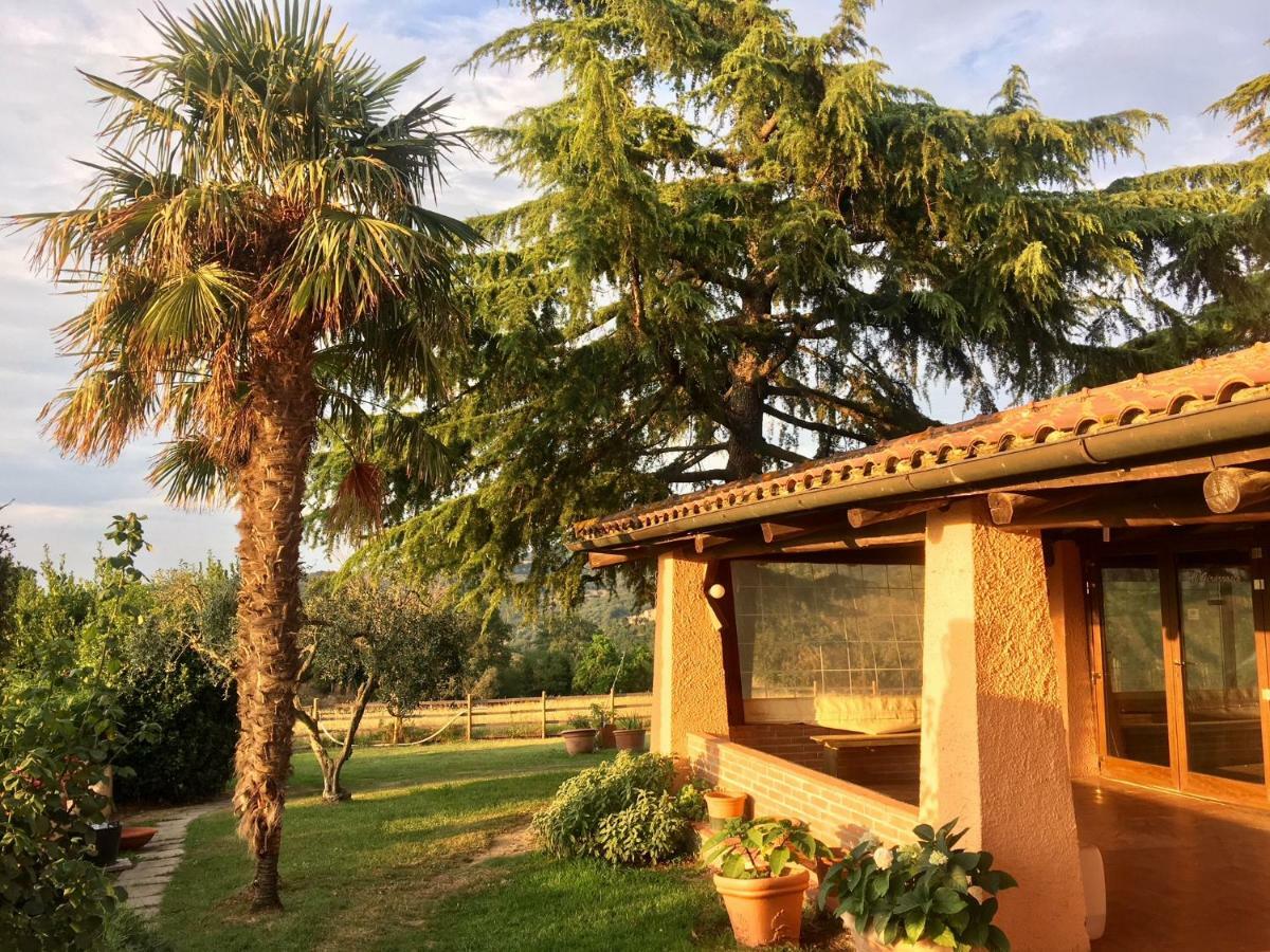 Agriturismo TERRANERA Scansano Esterno foto