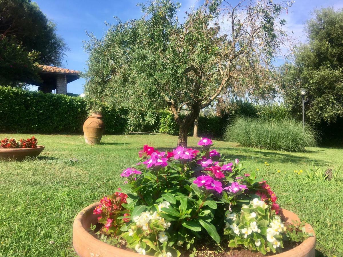 Agriturismo TERRANERA Scansano Esterno foto