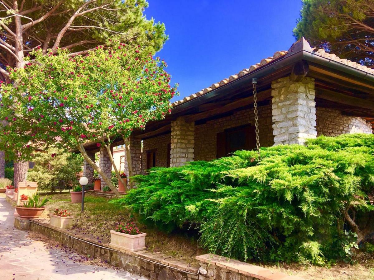 Agriturismo TERRANERA Scansano Esterno foto